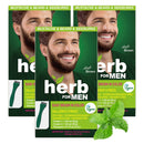 Herb For Men Mustache & Beard Dye (Deep Brown, 3 Pack), PPD-Free Ammonia-Free Hypoallergenic Beard Dye Vegan with Natural Ingredients, Odorless, Gentle for Sensitive Skin, No Skin Irritation