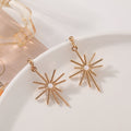 Temperament Earrings Sterling Silver Cold Wind  Female