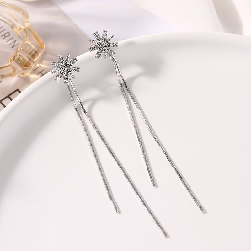 Temperament Earrings Sterling Silver Cold Wind  Female