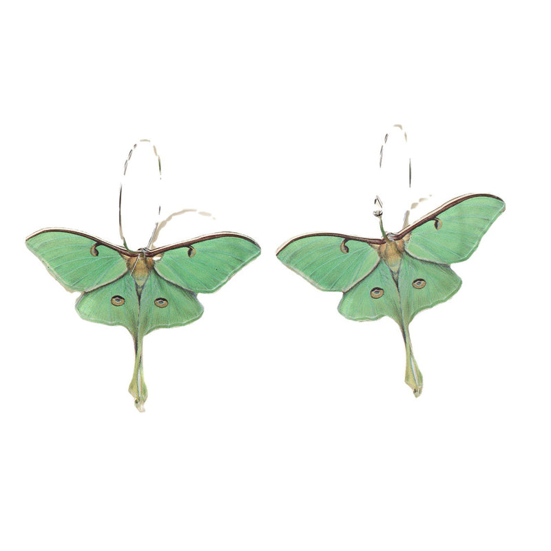 Fashion Simple Acrylic Green Butterfly Moth Earrings