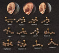 Twelve Constellation Stainless Steel Stud Earrings