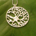 Collier biologie Neurone