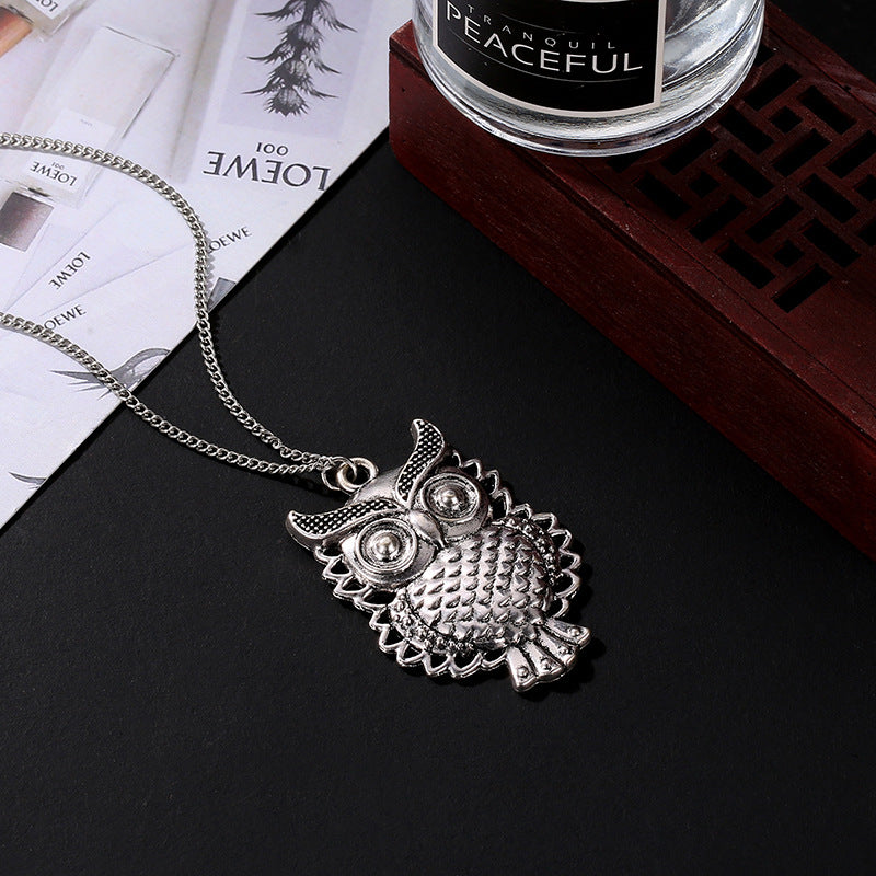 Explosion money decoration personality European and American fashion long hollow necklace retro owl pendant