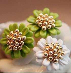 Creative small daisy flower earrings South Korea imported earrings