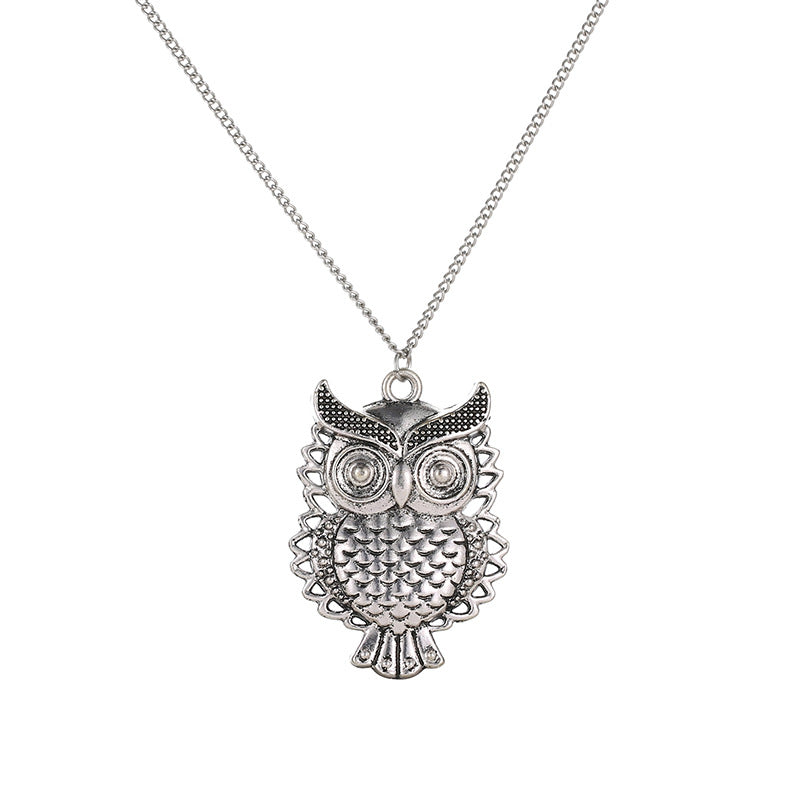 Explosion money decoration personality European and American fashion long hollow necklace retro owl pendant