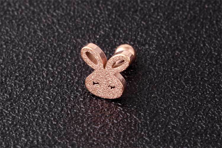 New Fashion Frosted Rabbit Female Hypoallergenic Titanium Steel Earrings