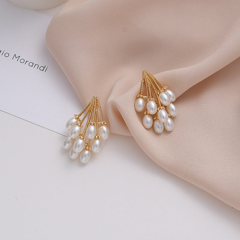 Earrings South Korean Temperament Net Red Fashion Jane