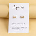 Twelve Constellation Earrings Gold And Silver 12 Zodiac