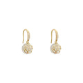 Light Luxury Flower Opal Earrings