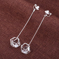 Crystal Long Fashion Hollow Zircon Stud Earrings